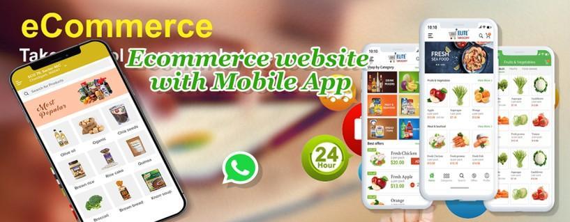 Ecommerce Website developement